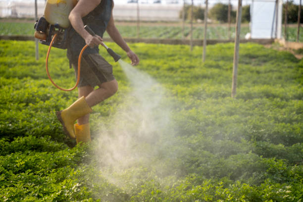 Best Pest Prevention Services  in Solvang, CA