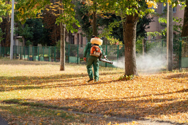 Best Pest Inspection Near Me  in Solvang, CA