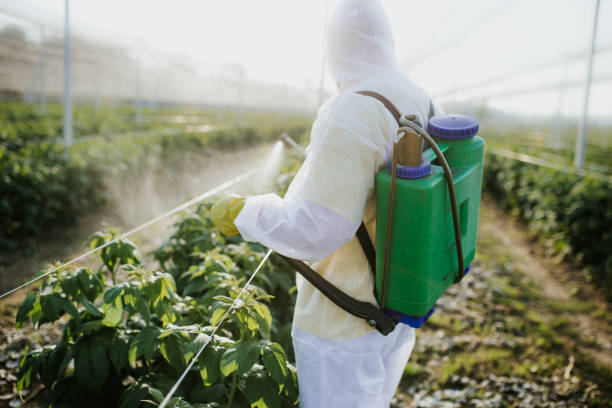 Best Wildlife Control Services  in Solvang, CA